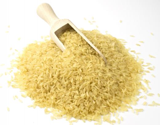Rice was first cultivated in Asia at least 3,000 years ago.
