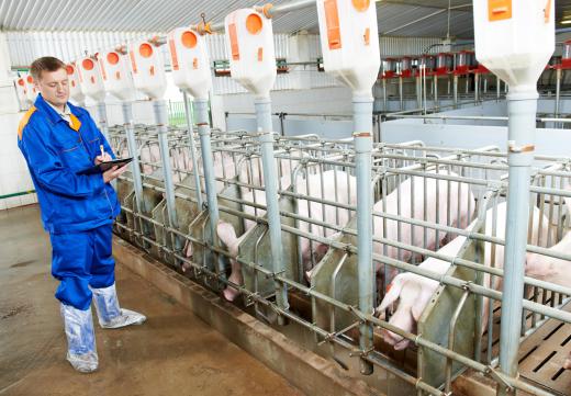 USDA inspectors monitor the safety of the food supply.